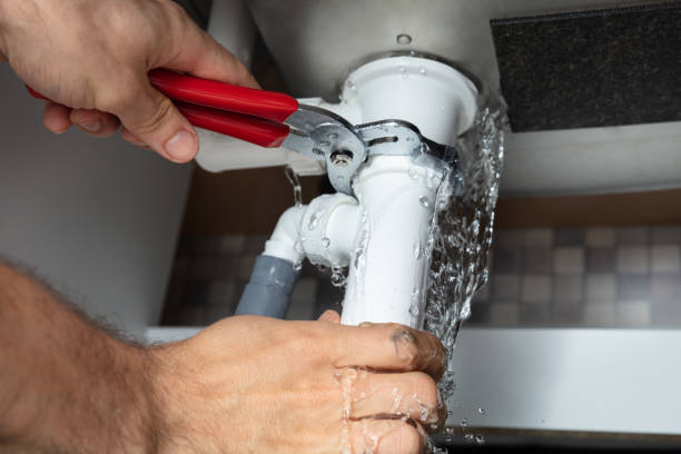 Best Flood damage cleanup  in Richmond, IL