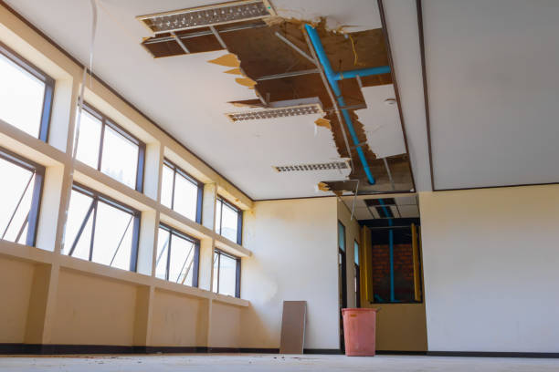 Best Mold removal after water damage  in Richmond, IL