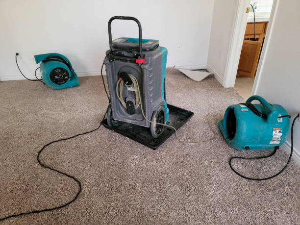 Best 24/7 water damage repair  in Richmond, IL