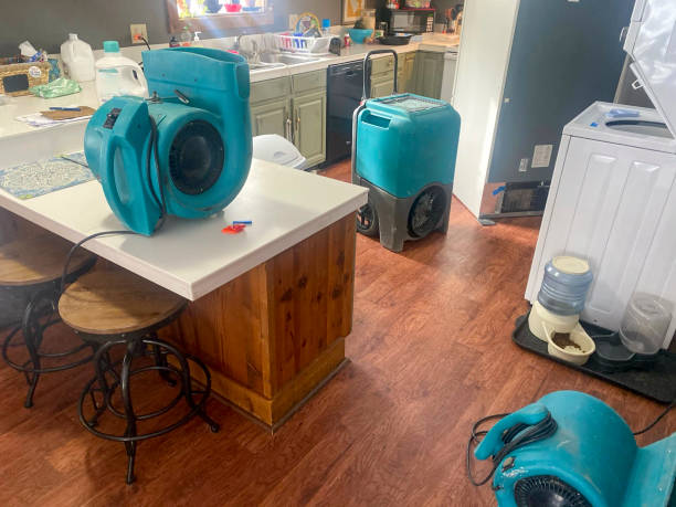 Best Commercial water damage restoration  in Richmond, IL