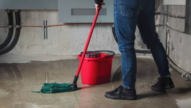 Best Flooded house restoration  in Richmond, IL