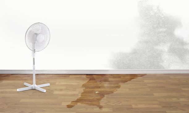  Richmond, IL Water damage restoration Pros
