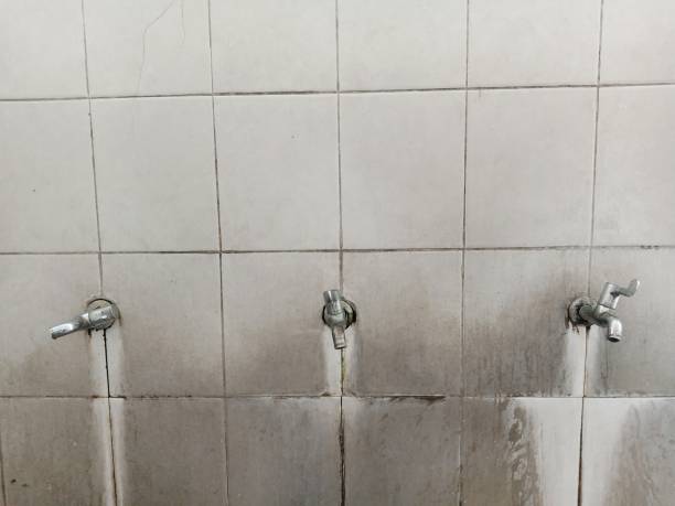 Best Sewage cleanup and water damage restoration  in Richmond, IL