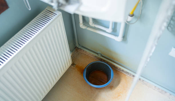 Best Mold removal after water damage  in Richmond, IL