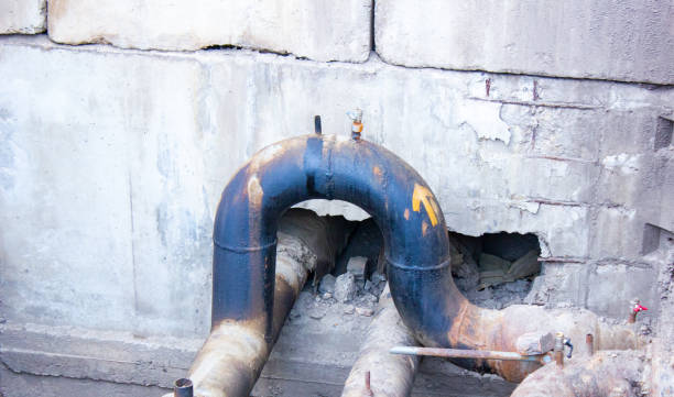 Best Water damage contractors near me  in Richmond, IL